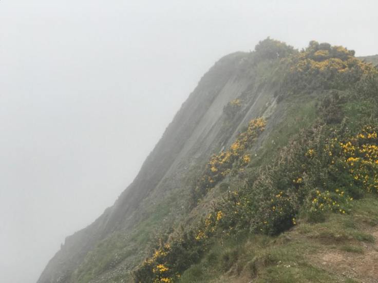 31957473_1911648602202476_2113687039974047744_n