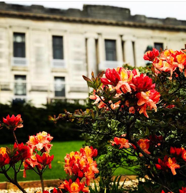 32676126_1922443901122946_2078965137078747136_n