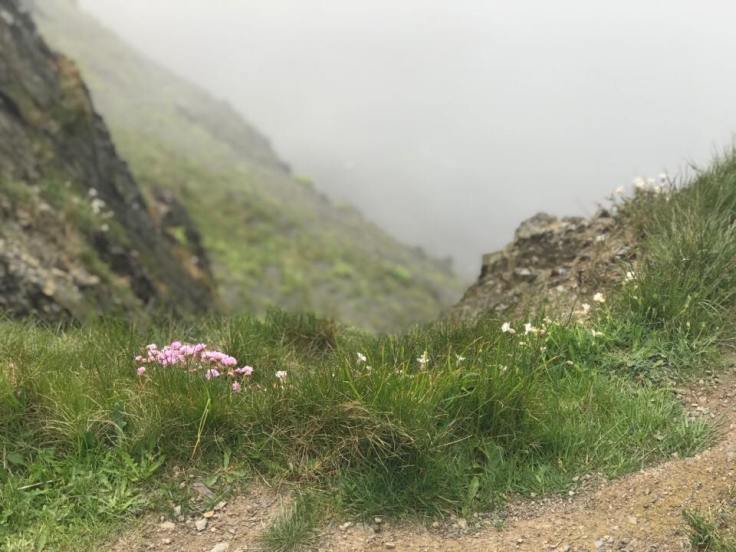 31531432_1911648442202492_6022061958839140352_n