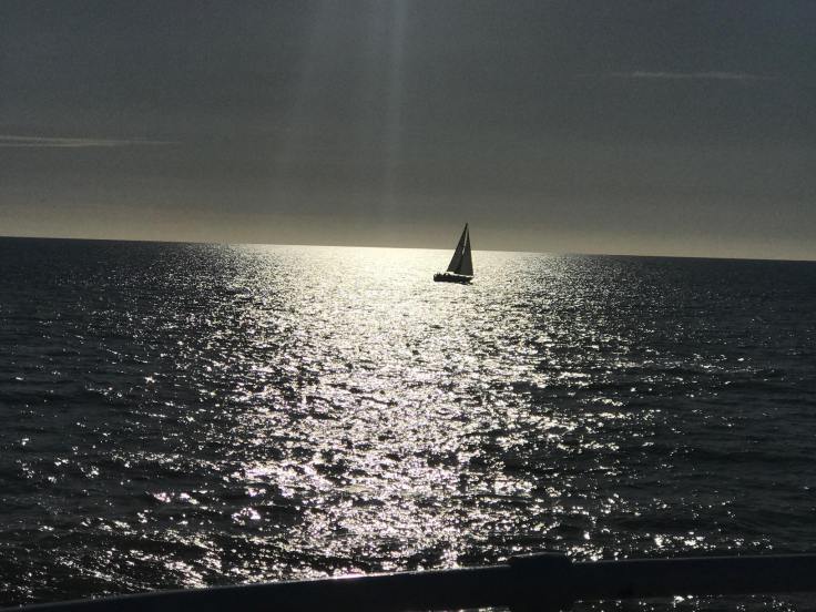 32525998_1922444351122901_5748142211854237696_n